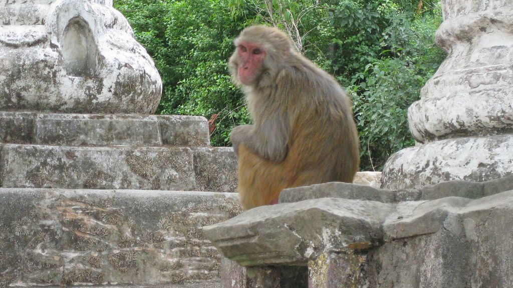 Disagreement is natural; disrespect is not